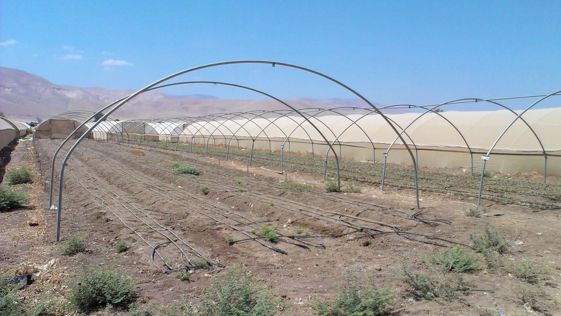 Projet d'irrigation AQUA4D de l'USAID en Palestine